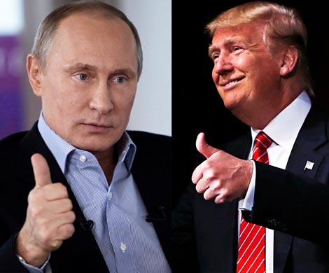 Дипломаты США и Германии рассказали о надеждах на встречу Путина с Трампом