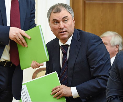 «Фейковый депутат»: Володина просят проверить деятельность Милонова