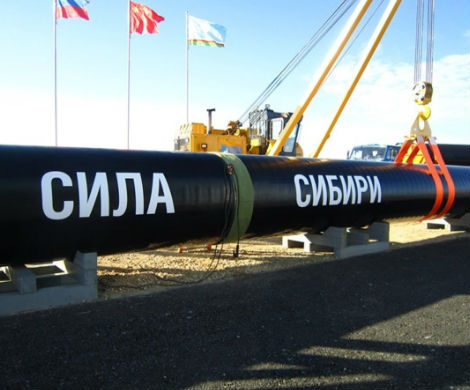 «Газпром» отказался от крупнейшего тендера по «Силе Сибири»