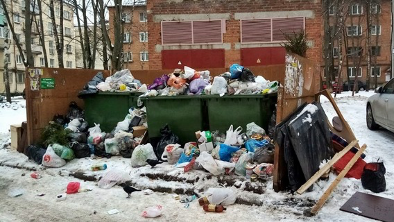 Горы мусора и бегающие крысы на контейнерных площадках портят предновогоднее настроение петербуржцам