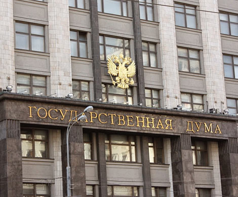 Госдума определяется с представительством в судах