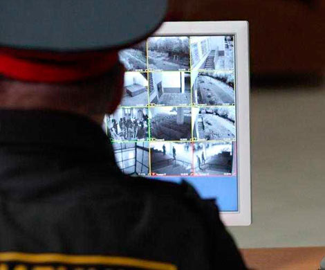 Госдума предложила разработать единый стандарт школьной охраны‍