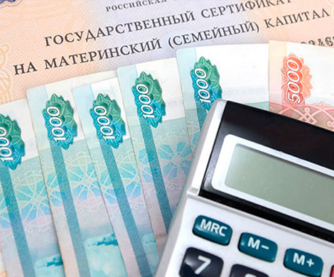 Госдума в первом чтении одобрила сокращение сроков выдачи маткапитала