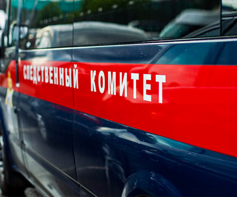 Группа ульяновцев обвиняется в покушении на заказное убийство‍