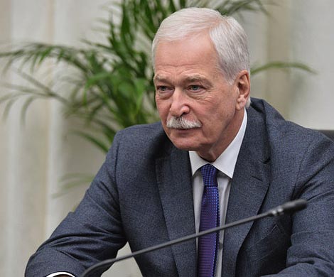 Грызлов заступился за партийного ревизора Кудашову