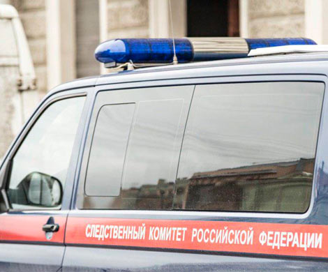 Информацию о гибели детей по вине пьющей матери проверит СК РФ