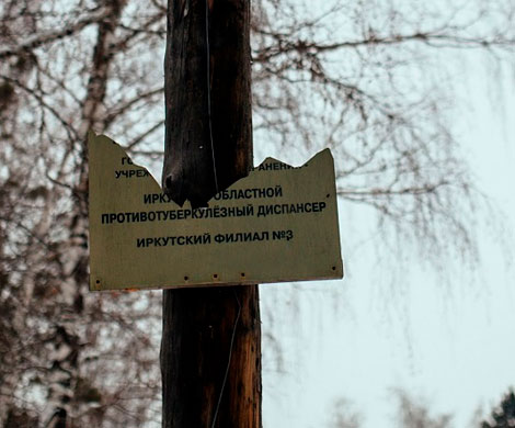 Иркутяне не хотят принимать эстафетную палочку Коха