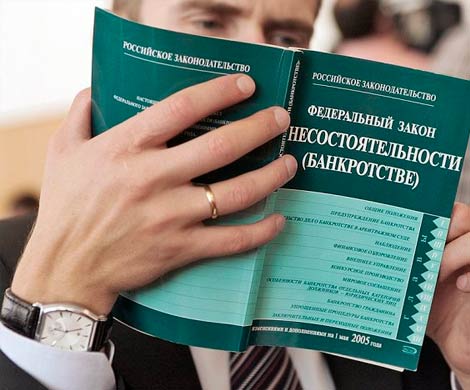 Искусство ловли мух над котлетами