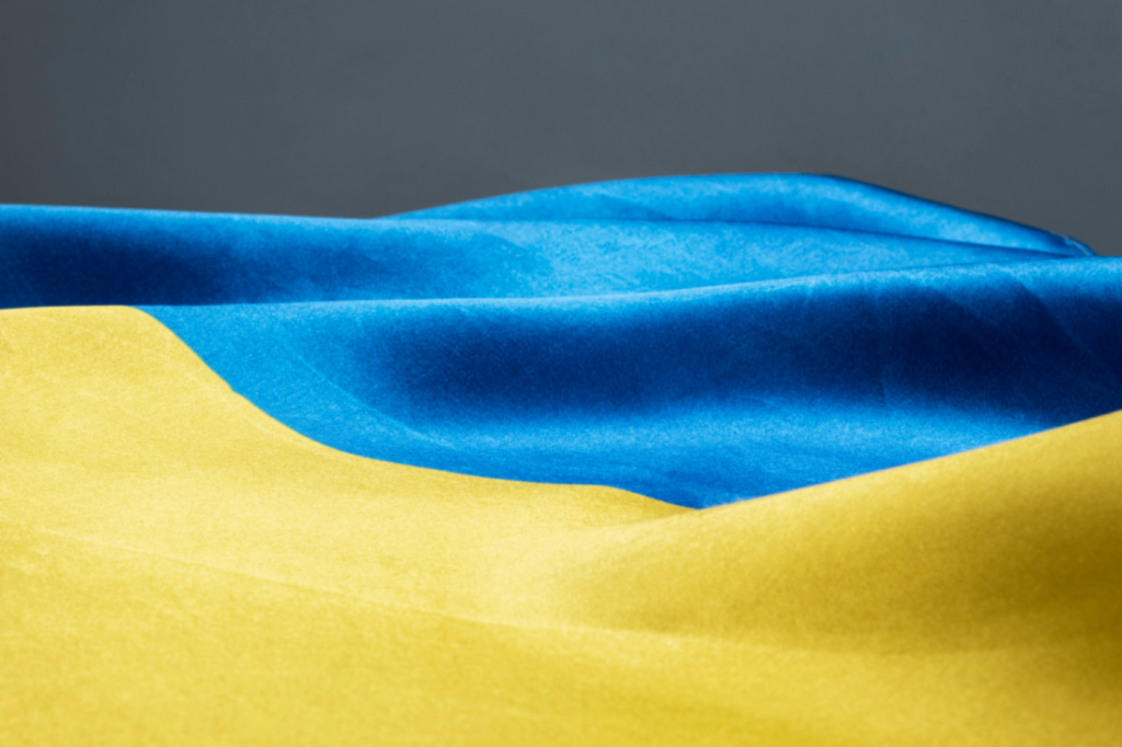 Итальянский депутат требует остановить поставки оружия Украине после Давоса