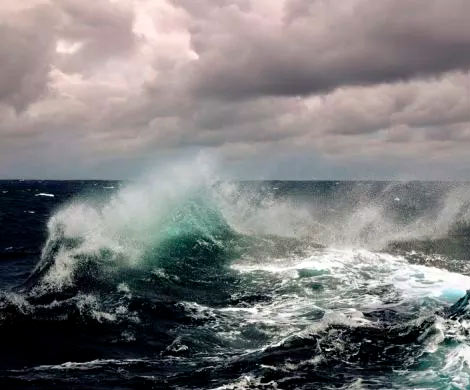 Из моря у берегов Ялты выловили труп неизвестного