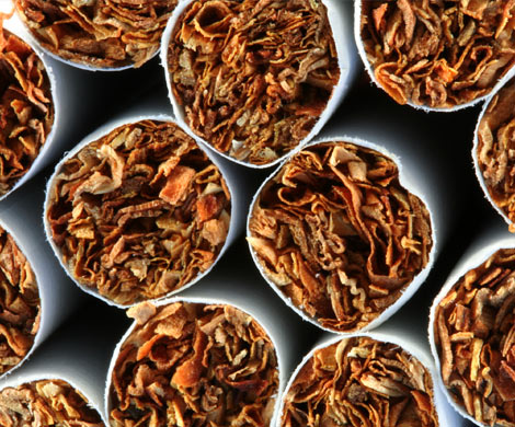 Japan Tobacco закрывает московскую фабрику