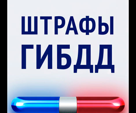 Как отслеживать штрафы ГИБДД в организациях