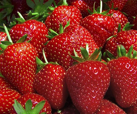 Как выбрать вкусную и полезную клубнику