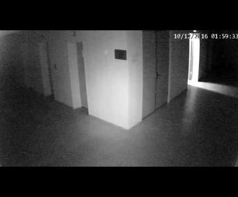 Камера в мэрии Воркуты зафиксировала полтергейст