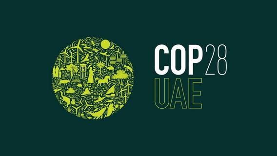 Каждый четвертый миллиардер из делегатов Cop28 сделал состояние на загрязняющих окружающую среду отраслях промышленности