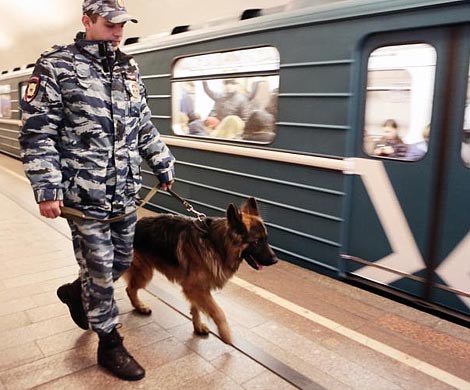 Кинологи проверят подозрительный предмет на станции метро «Курская»