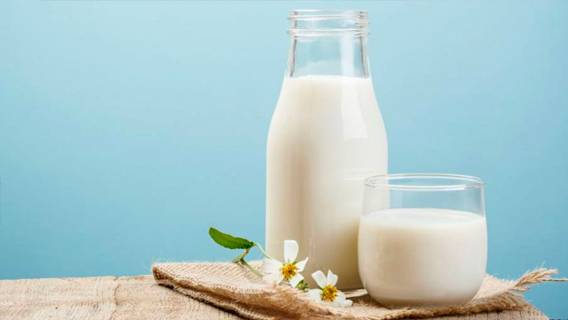 Концерн Lactalis будет закупать молоко у фермеров на 32% дороже, что ударит по супермаркетам Франции
