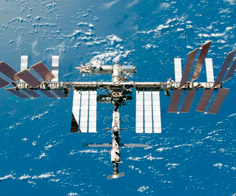 Корпус МКС атаковали космические бактерии