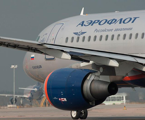Кристально чистого Носика поймали на заказном пиаре?