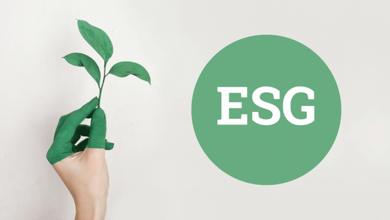 Крупные компании с Уолл-Стрит сочли кампанию против ESG новым финансовым риском 
