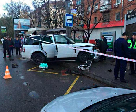 Кубань в объятиях судейского спрута