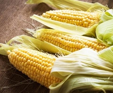 Кукурузные волокна укрепляют женские кости