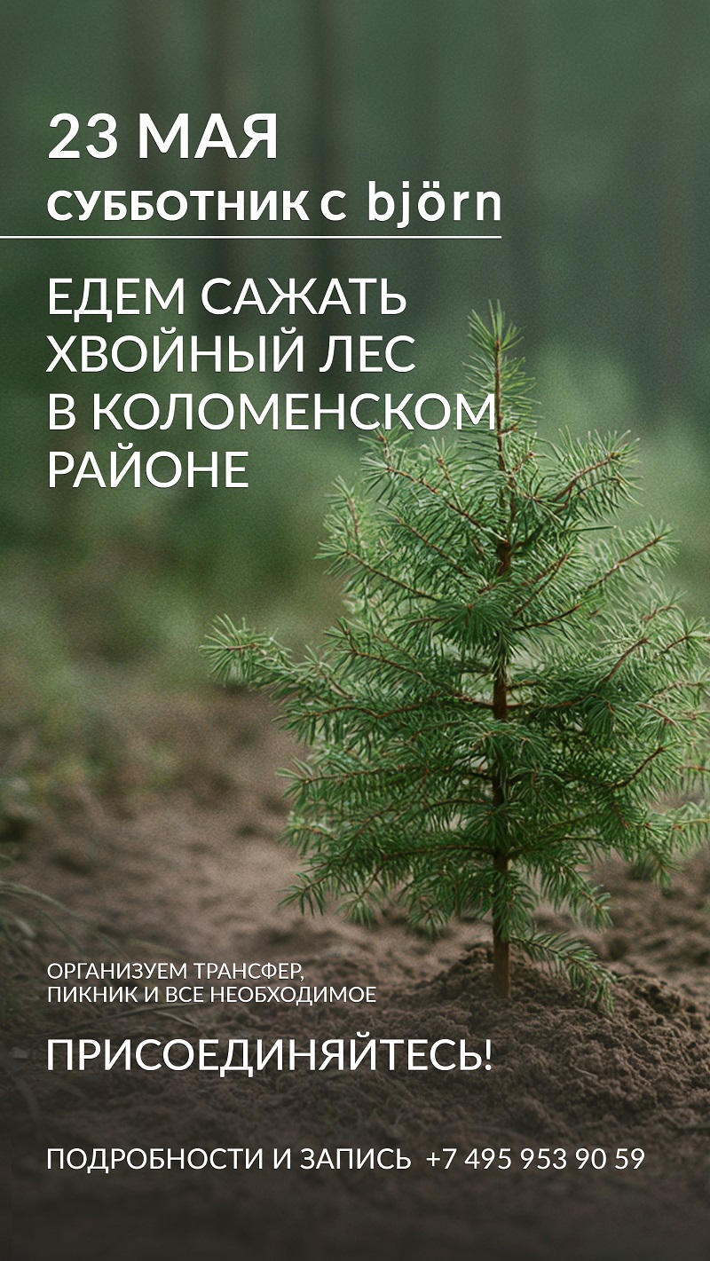 Маленькое, но очень настоящее дело: Björn устраивает самый душевный субботник весны