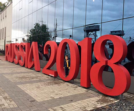Матчи ЧМ-2018 собираются смотреть 84% россиян‍