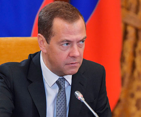Медведев потребовал следить за рыбой