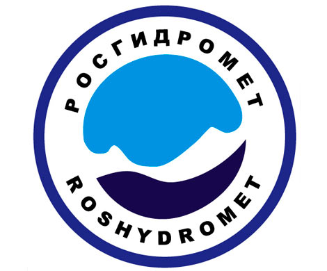 Медведев сменил главу Росгидромета‍