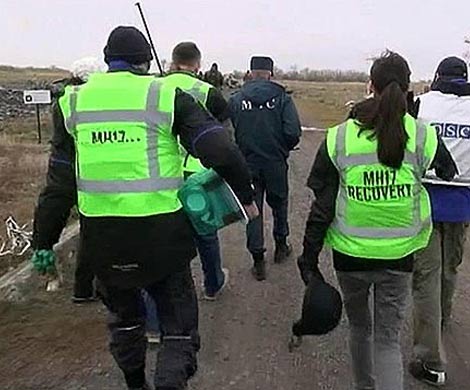 MH17 погубил «ноль восьмой» 