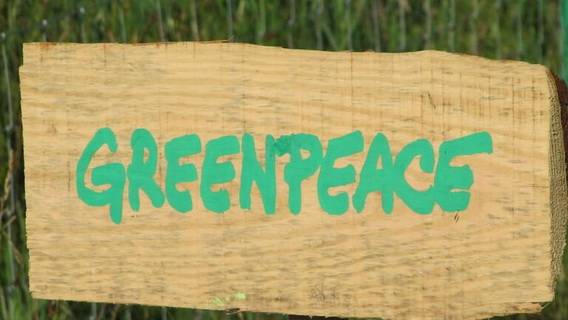 Министерство охраны окружающей среды Великобритании прервало связи с Greenpeace