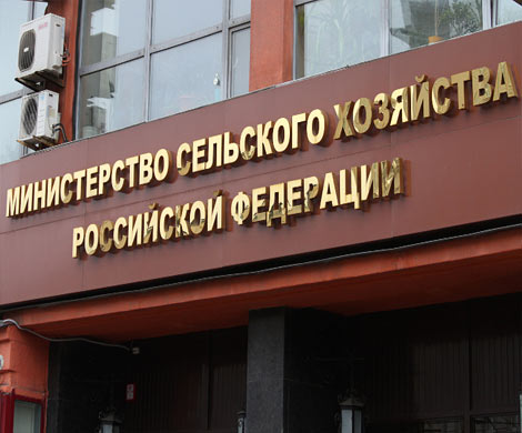 Минсельхоз: скачка цен на продовольствие не будет