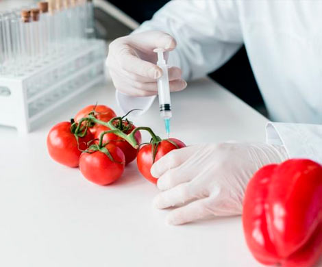 Минздрав Японии разрешит продажу ГМО-продуктов