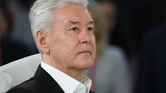 Михаил Делягин: элиты хотят отправить Сергея Собянина в отставку