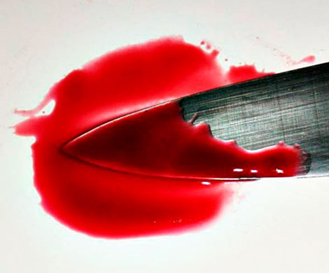 Мужчина убил жену во время ссоры в Подмосковье Мужчина убил жену во время ссоры в Подмосковье