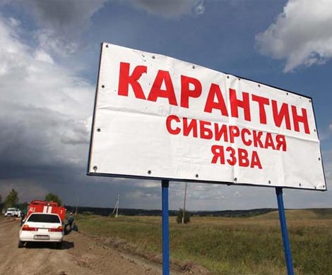 «Орлан» поборется с сибирской язвой