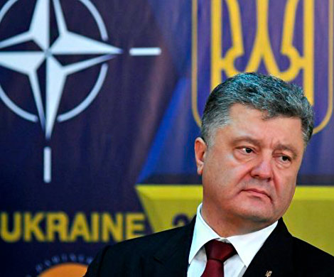 На четыре буквы: Порошенко идет в НАТО