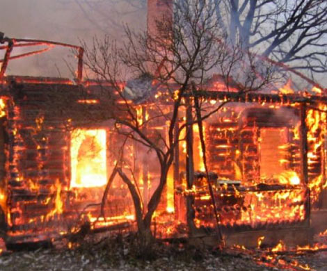 На даче под Шлиссельбургом заживо сгорел мужчина‍