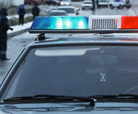 На Камчатке в подвале дома обнаружили тело 16-летнего подростка