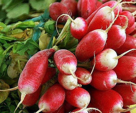 На марсианской почве взошли съедобные редис и горох