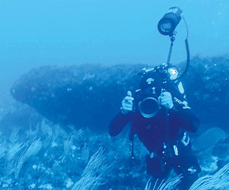 На морском дне обнаружили остатки деятельности человека