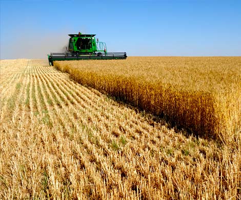 На российском рынке появится филиппинская сельхозпродукция