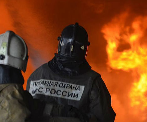 На улице Белы Куна в Петербурге загорелся магазин