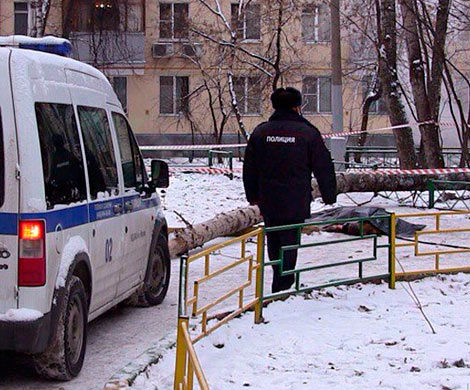 На Ямале 3-летнего ребенка убило упавшим деревом