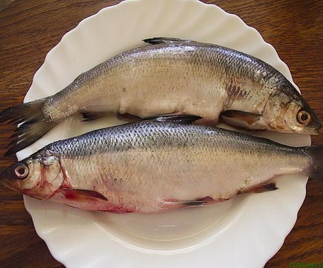 Названы 10 лучших осенних продуктов для укрепления иммунитета