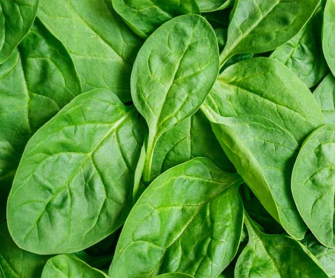 Названы главные продукты, которые предотвращают потерю волос