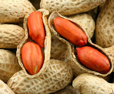 Названы продукты, которые хранятся гораздо дольше, чем указано на этикетке