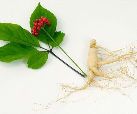 Названы продукты питания, которые помогут бросить курить