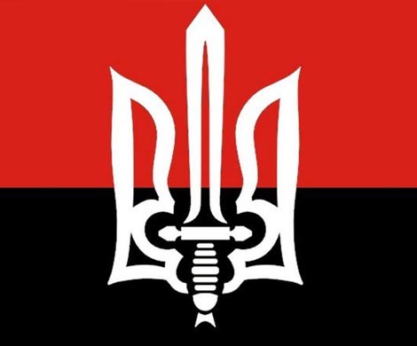 Не Драгобрат ты мне: за что на Украине бьют «Правый сектор»